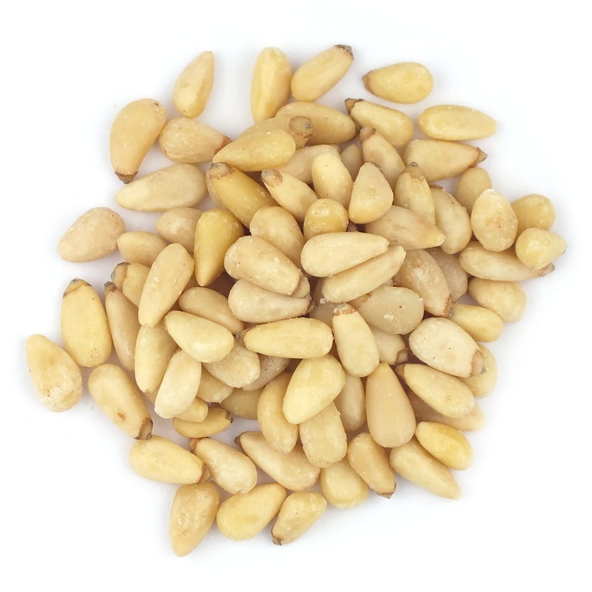 Organic Pine Nuts