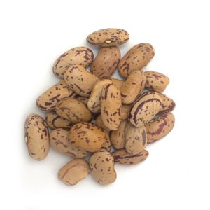 Organic Pinto Beans